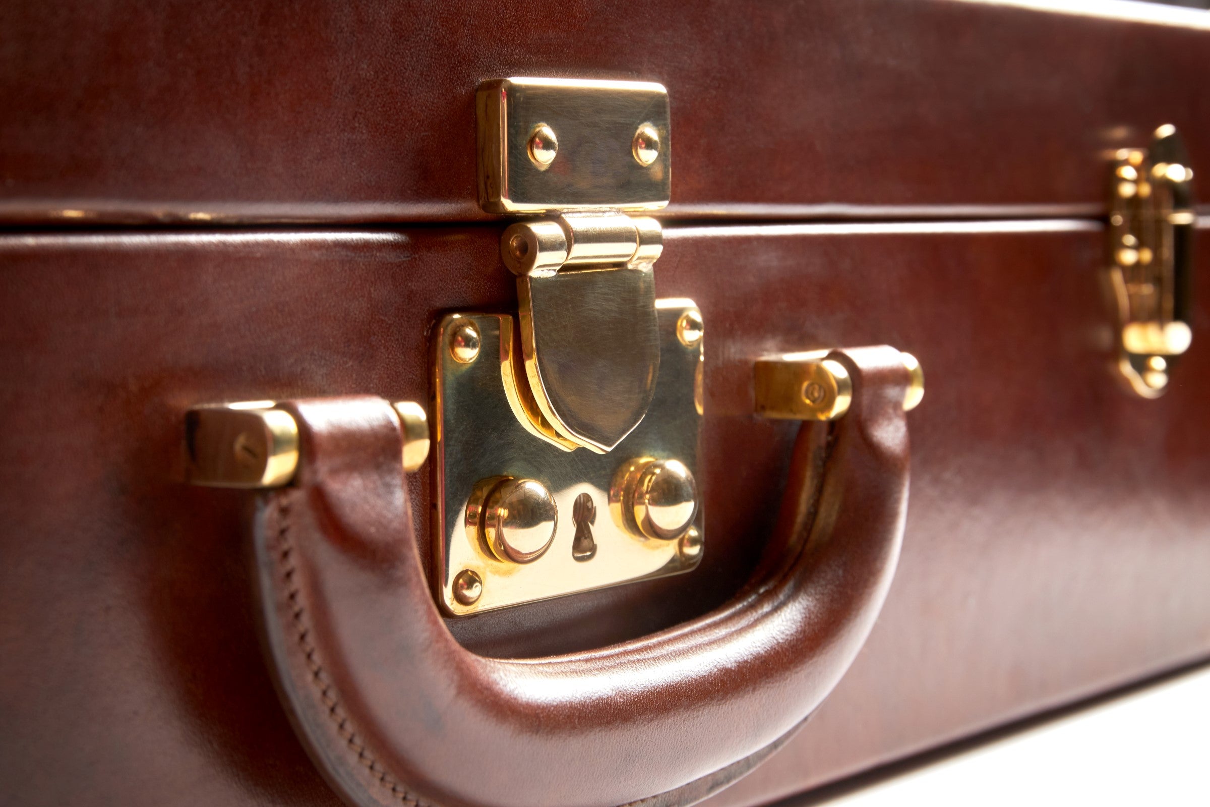 Bernardini Humidor Briefcase - French Lily and Walnut - N° 05/30