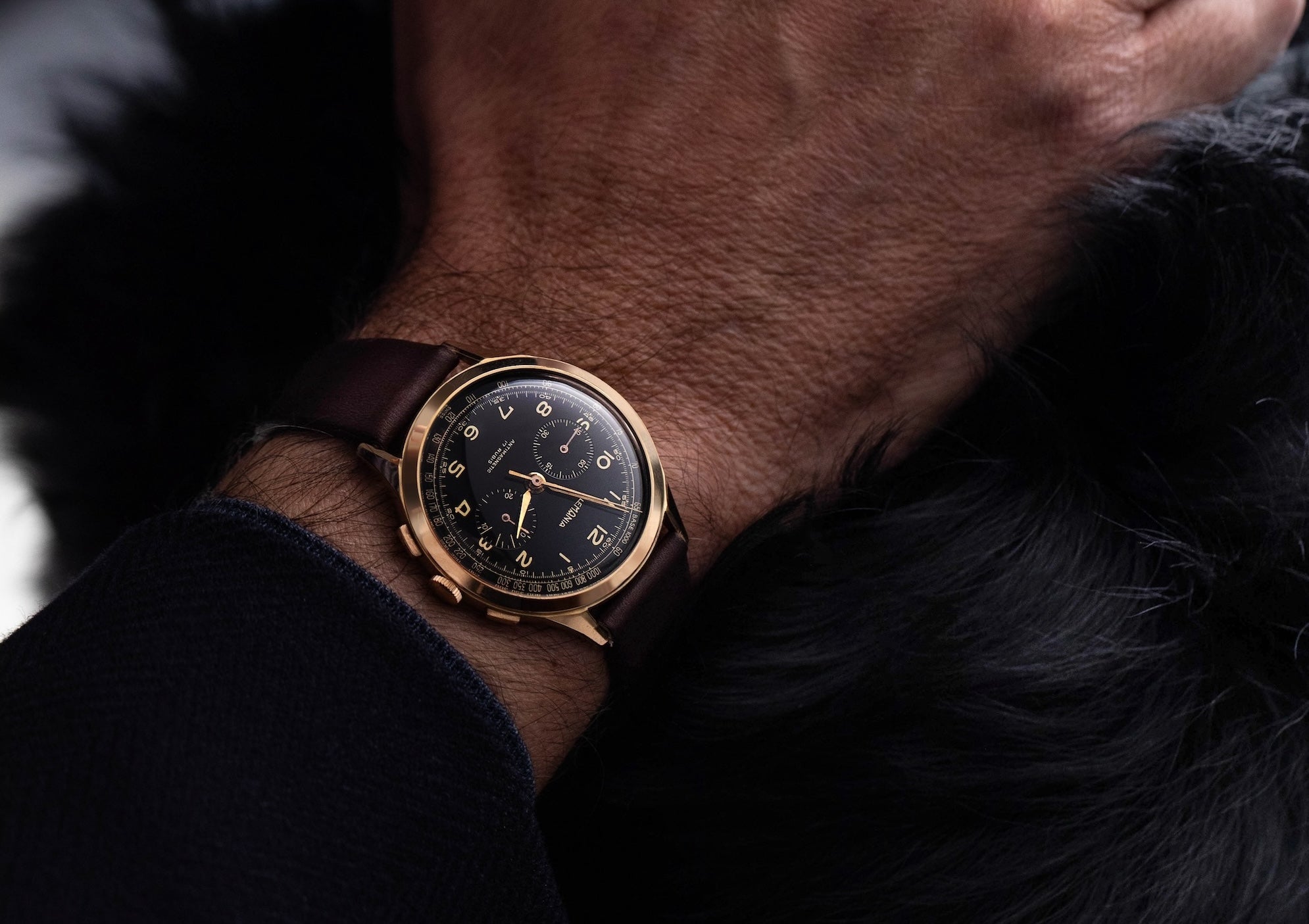 Lemania chronograph in yellow gold with black dial petting a dog