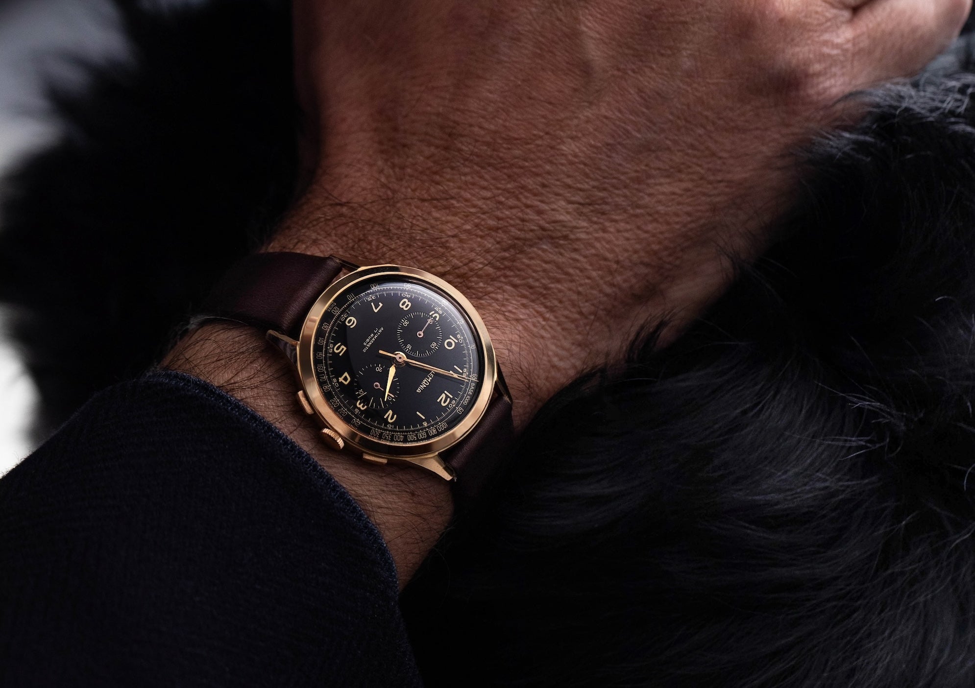 Lemania chronograph in yellow gold with black dial petting a dog