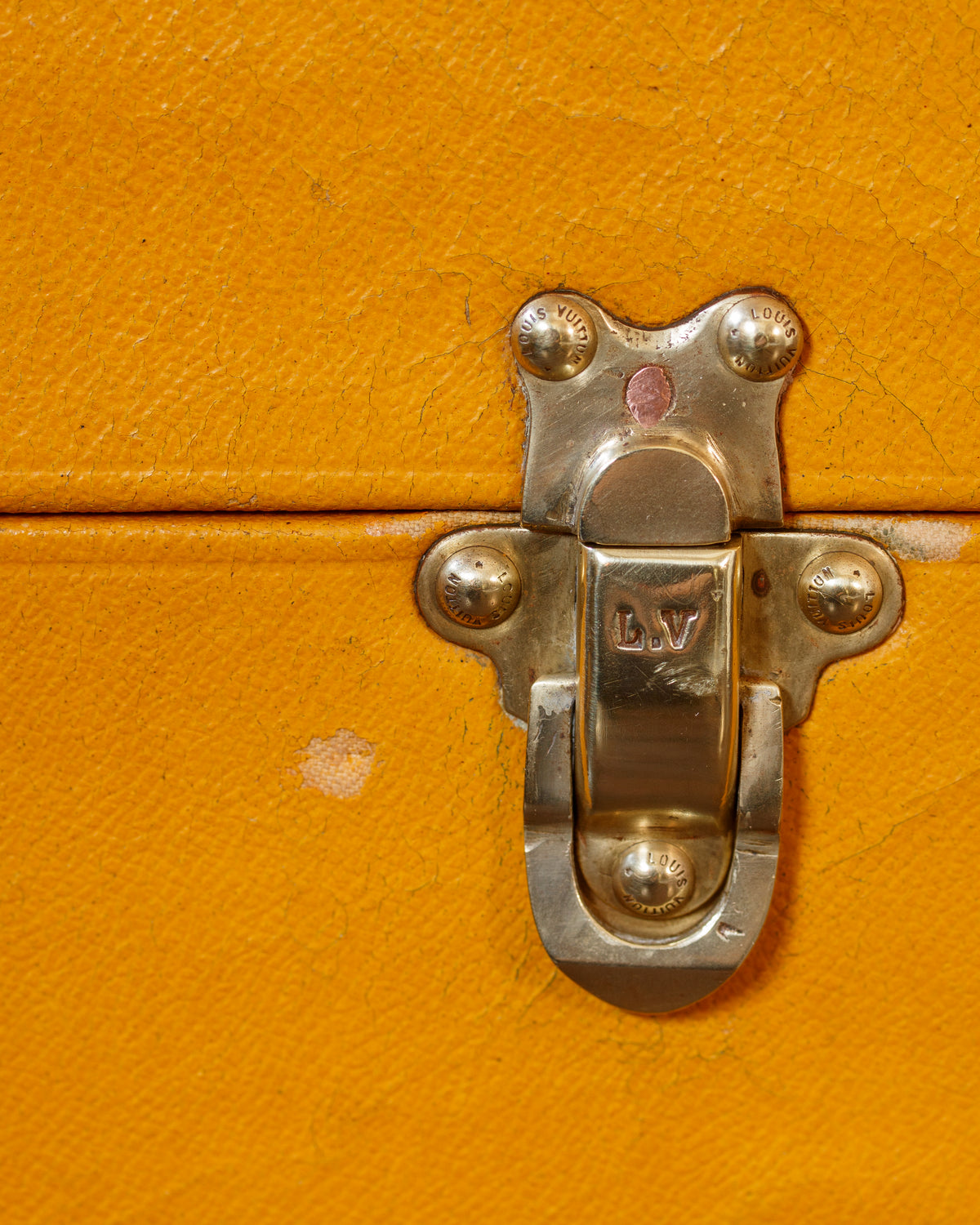 Louis Vuitton Vuittonite Cubique Trunk
